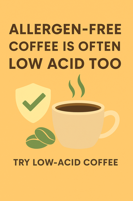 Flat-style digital illustration highlighting the benefits of allergen-free coffee — labeled as clean, low acid, and easy on digestion — with warm colors and modern design.
