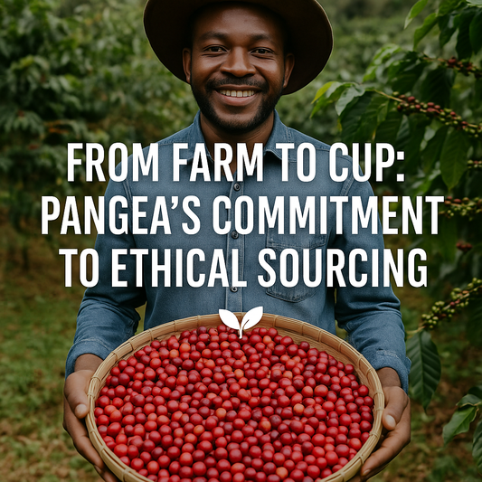 From Farm to Cup: Pangea’s Commitment to Ethical Sourcing