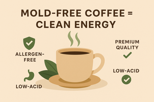 Why Mold-Free Coffee Matters: A Health-First Approach