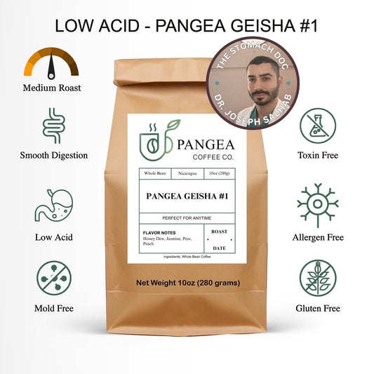 Pangea Geisha #1
