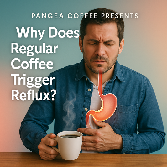 Man with acid reflux holding chest while drinking coffee, overlaid with digestive anatomy, and text "Why Does Regular Coffee Trigger Reflux?" by Pangea Coffee.