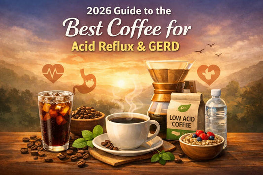 Best coffee for acid reflux and GERD 2026 - Low acid coffee beans, cold brew setup, and stomach-friendly brewing methods for GERD management