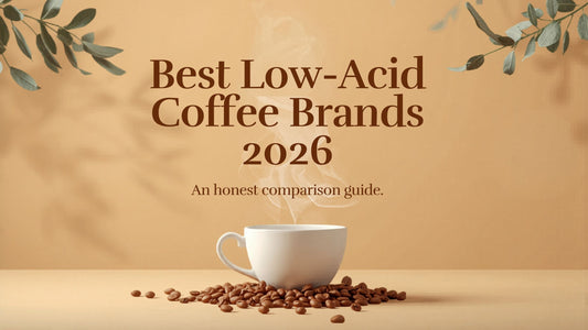 Best low acid mold free coffee brands 2026 comparison guide by Pangea Coffee Company