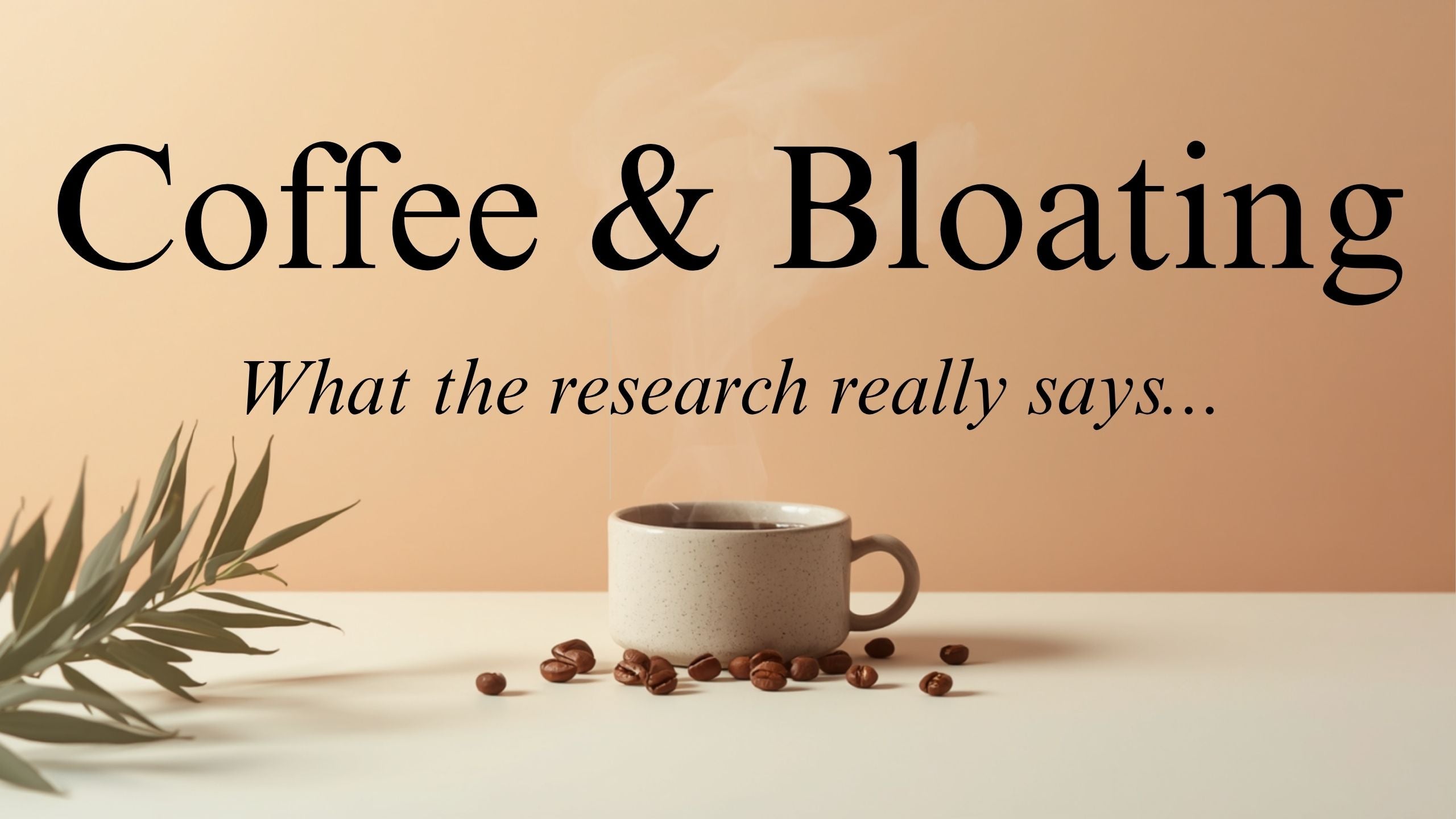 Pangea low-acid coffee, a gentler option for people who get bloating from coffee