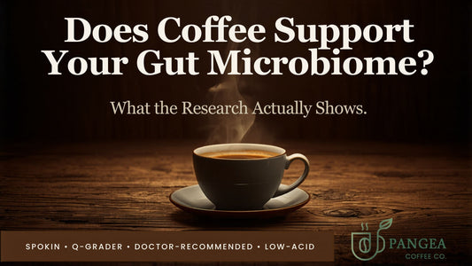 Steaming cup of clean low-acid Pangea coffee supporting gut microbiome health