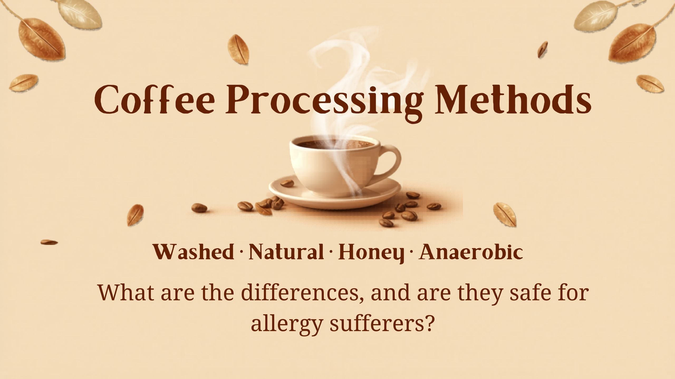 Coffee Processing Methods: Washed, Natural & Honey Explained – Pangea ...