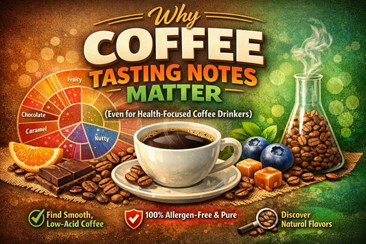 Coffee taster's flavor wheel with coffee cupping setup showing multiple coffee samples in white cups for professional tasting and palate training