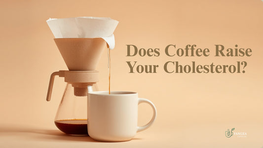 Pour-over coffee dripper with paper filter brewing into a mug, illustrating how brewing method affects cholesterol