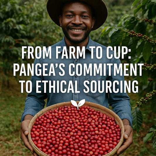 Ethical Coffee Brands: The Conscious Consumer's Complete Guide