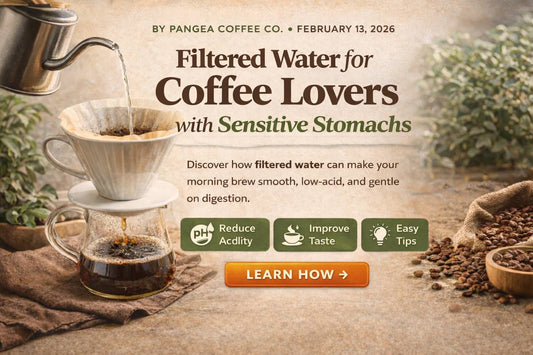 How Filtered Water Creates Gentle, Low-Acid Coffee for Sensitive Stomachs