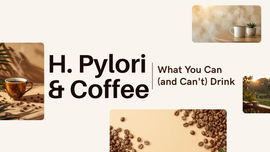 H. Pylori and coffee guide — what you can and can't drink with an H. pylori infection