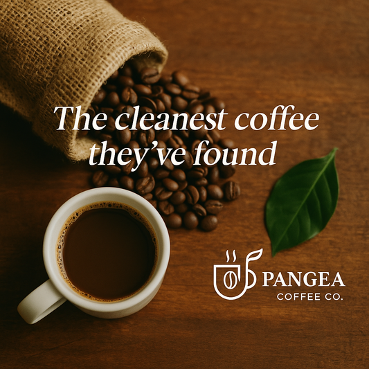 Hero image of Pangea Coffee mug and bag on a wooden table with natural light, symbolizing smooth low-acid, allergen-free coffee.