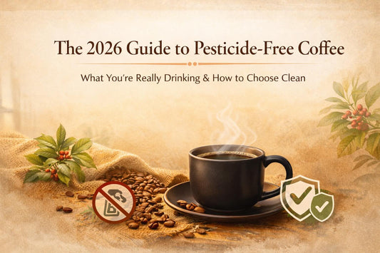 Pangea Coffee pesticide-free coffee guide 2026 — clean sourcing from low-pesticide growing regions, SPOKIN verified allergen-free roaster