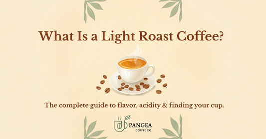 What Is a Light Roast Coffee? The Complete Guide to Flavor, Acidity & Finding the Best Cup