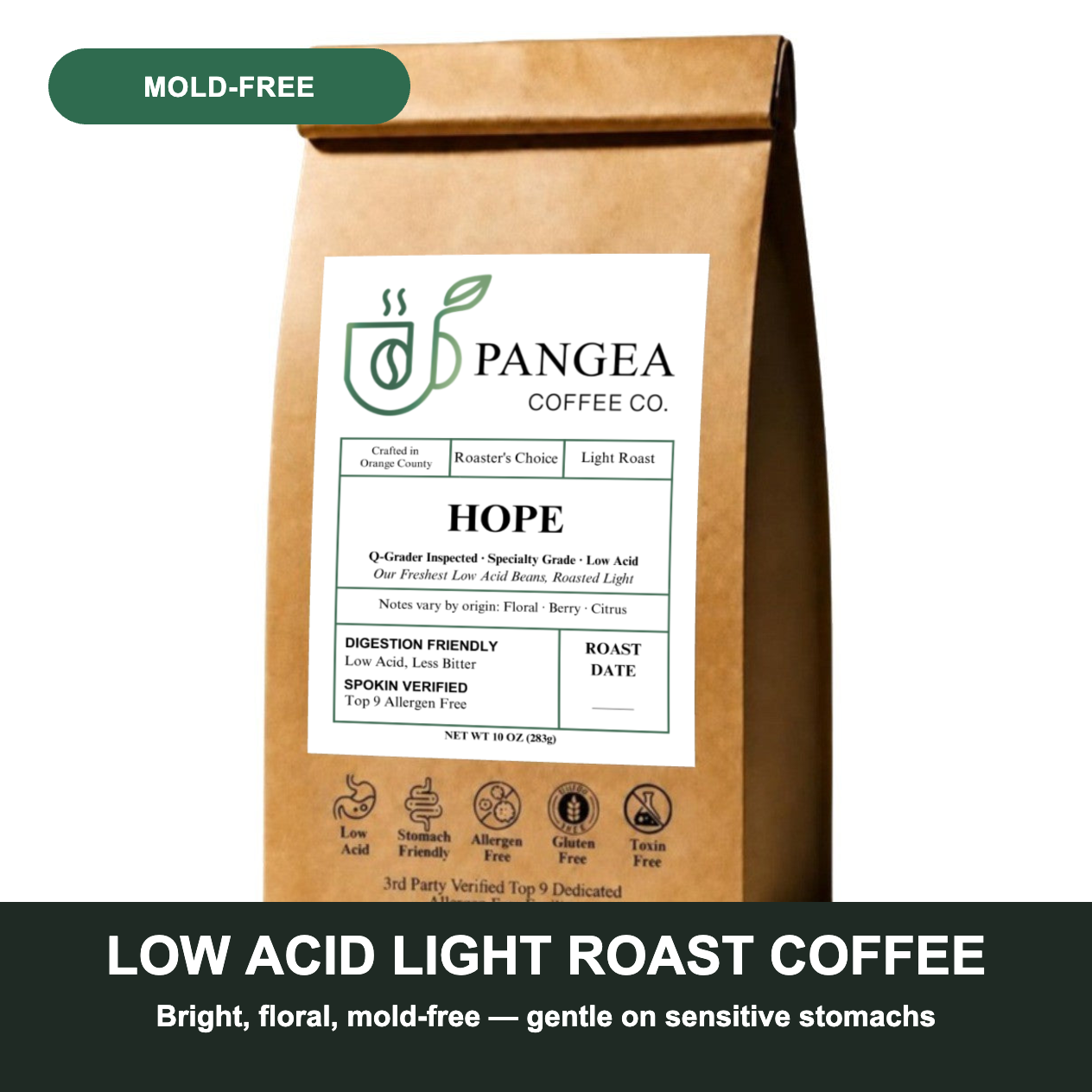 Low acid light roast coffee — Pangea Hope bright, floral, mold-free coffee gentle on sensitive stomachs